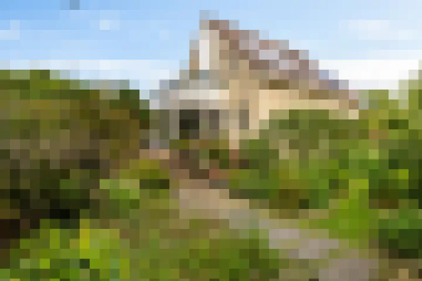 Esserhaag 5 Groningen thumbnail 65