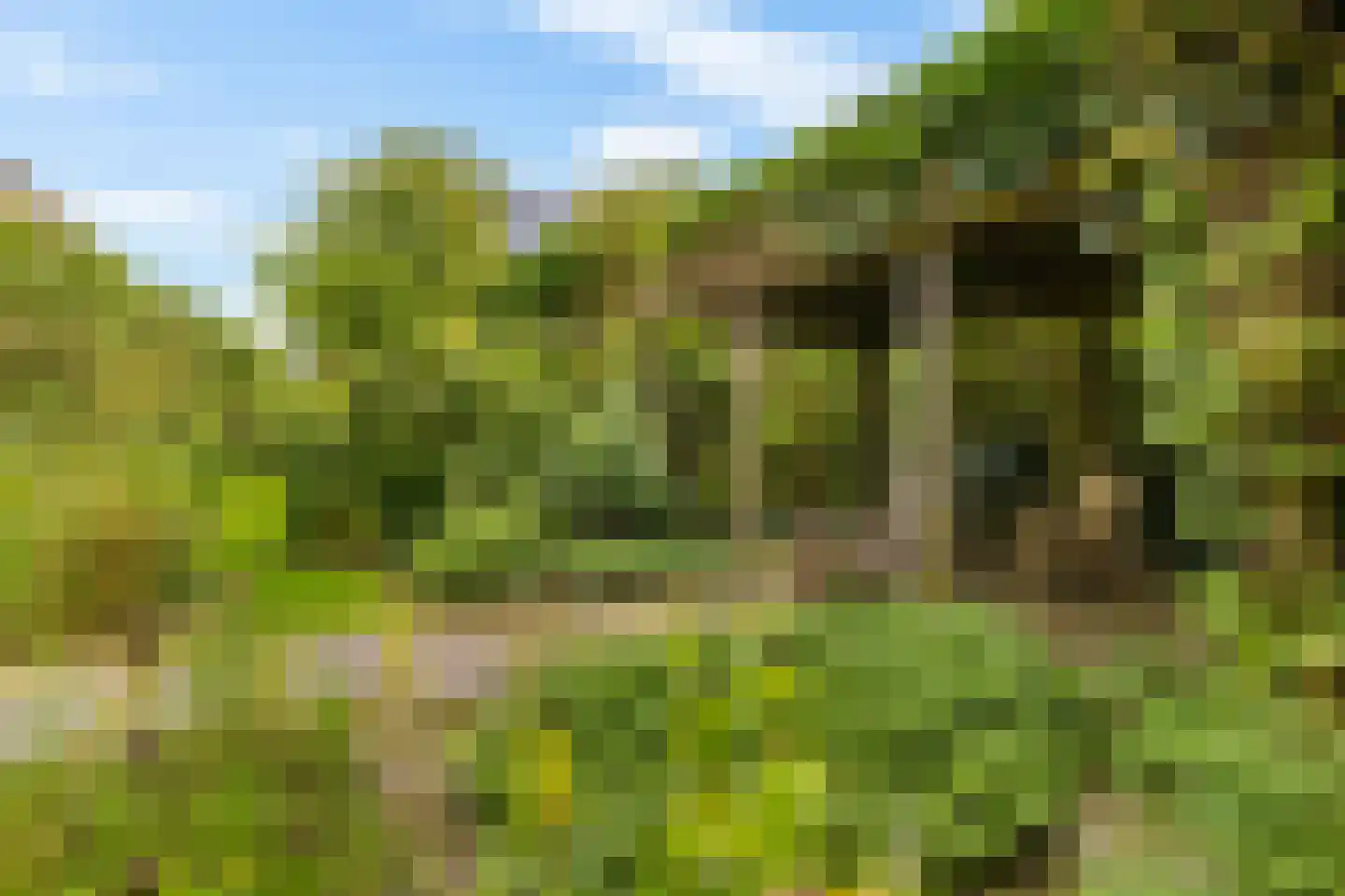 Esserhaag 5 Groningen thumbnail 66