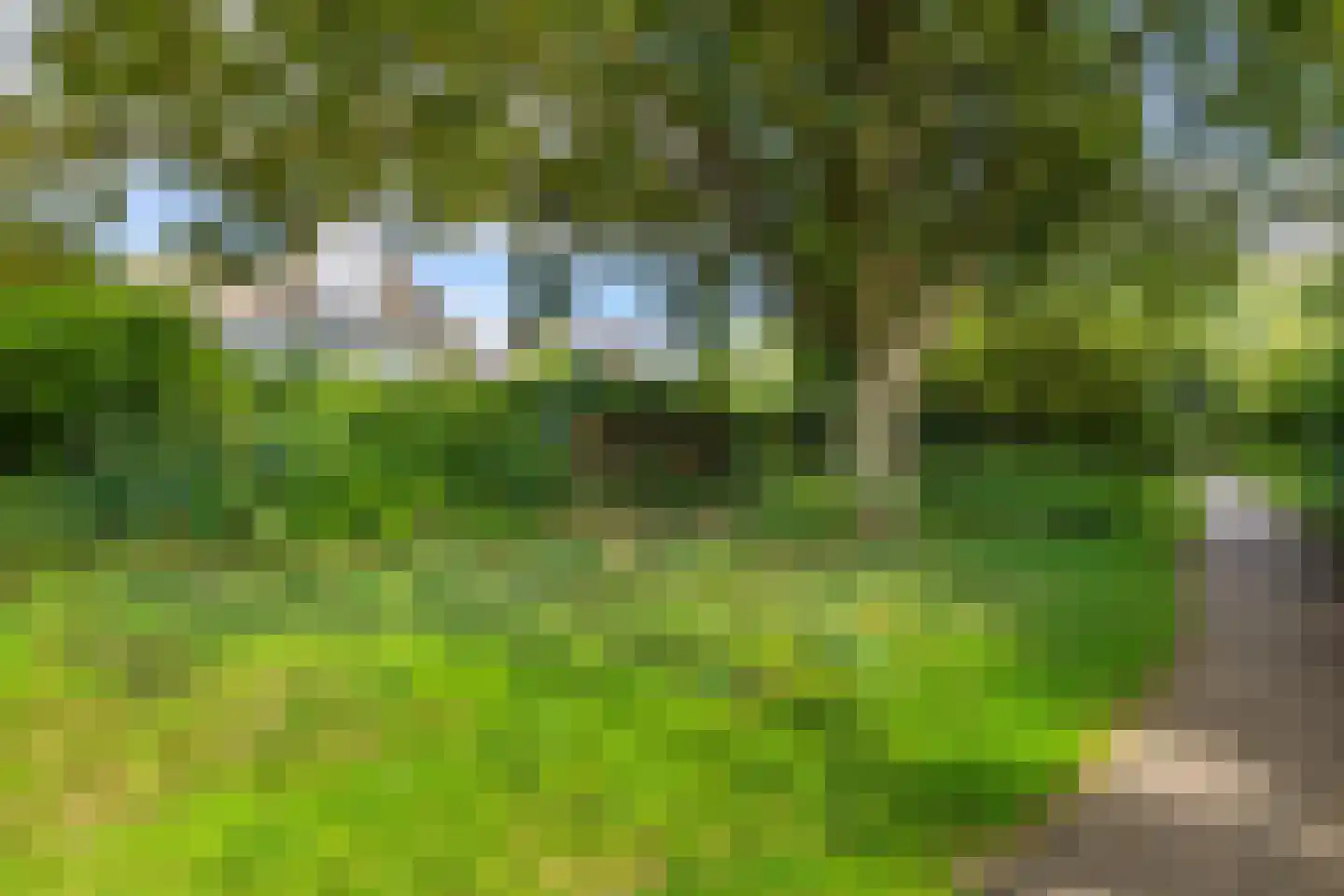 Esserhaag 5 Groningen thumbnail 72