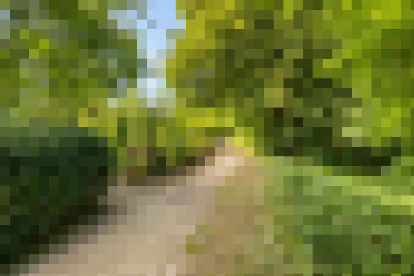 Esserhaag 5 Groningen thumbnail 73