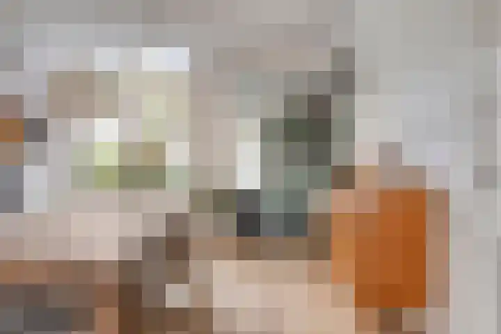 Esserstraat 38 Breda thumbnail 4