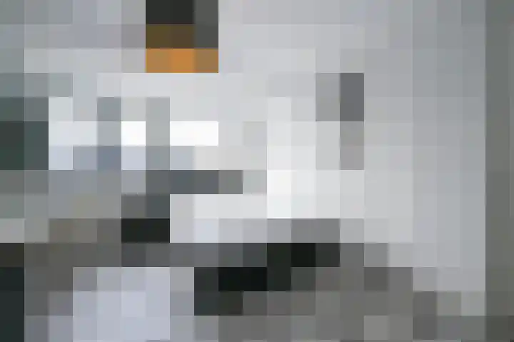 Essesteijnstraat 14 Voorburg thumbnail 39