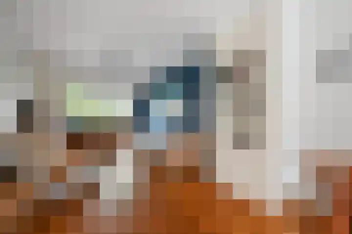 Essesteijnstraat 14 Voorburg thumbnail 4
