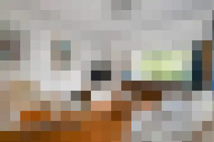 Essesteijnstraat 14 Voorburg thumbnail 6