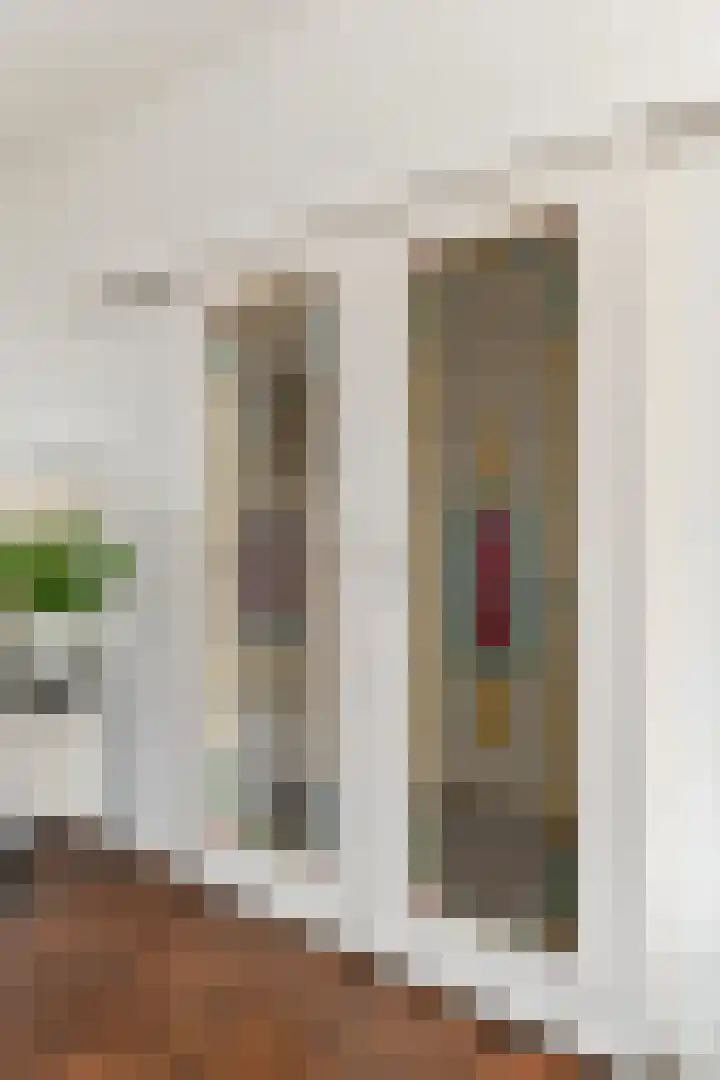 Essesteijnstraat 145 Voorburg thumbnail 27