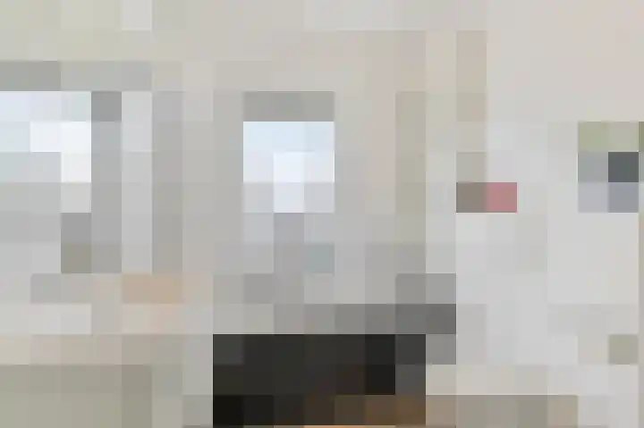 Essesteijnstraat 145 Voorburg thumbnail 4