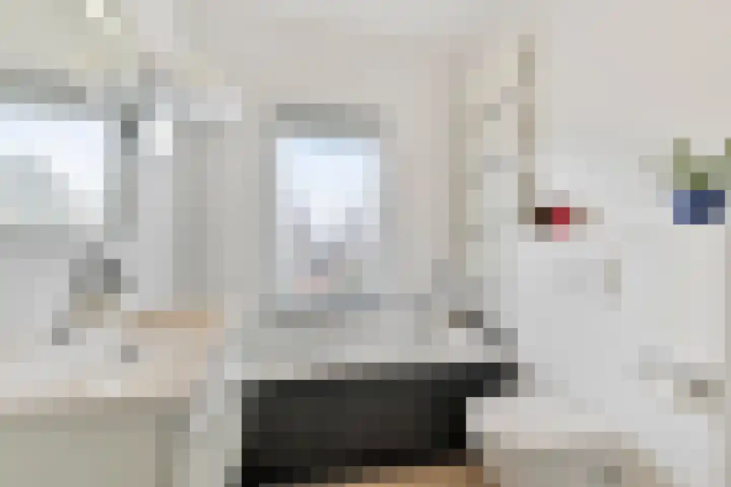 Essesteijnstraat 145 Voorburg thumbnail 4
