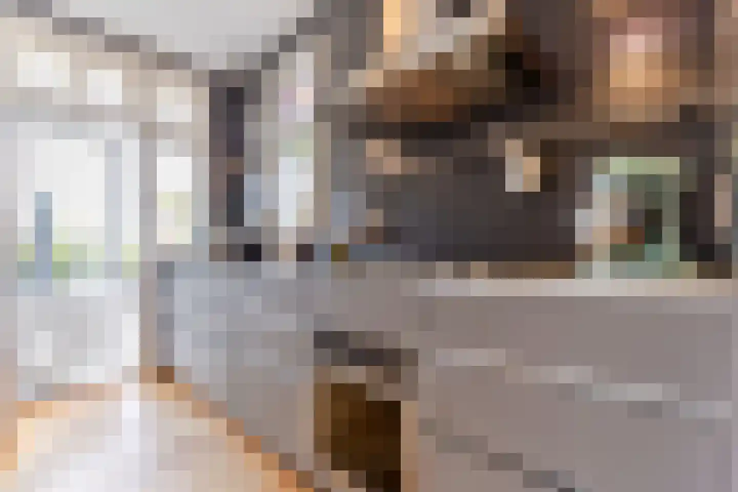 Essesteijnstraat 150 Voorburg thumbnail 10