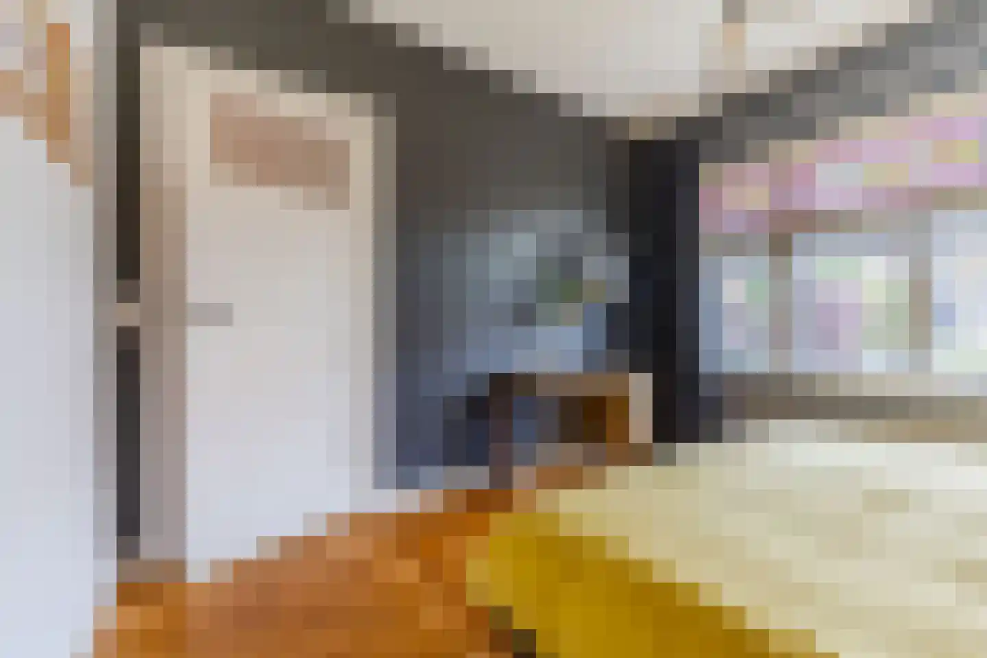 Essesteijnstraat 150 Voorburg thumbnail 27