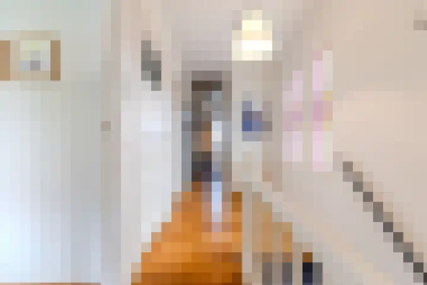 Essesteijnstraat 150 Voorburg thumbnail 36