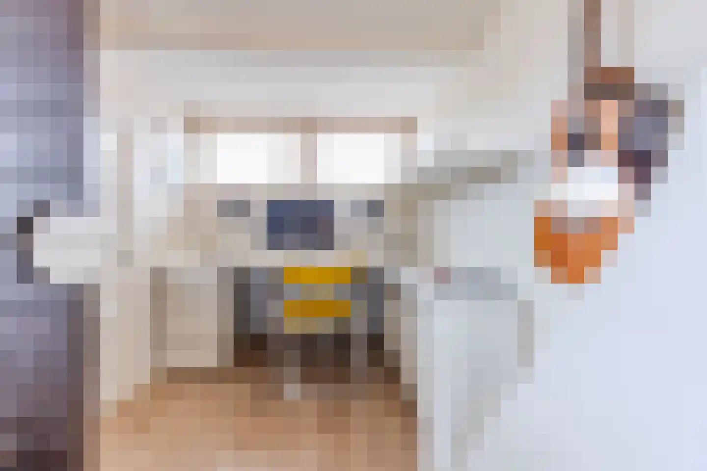 Essesteijnstraat 150 Voorburg thumbnail 47