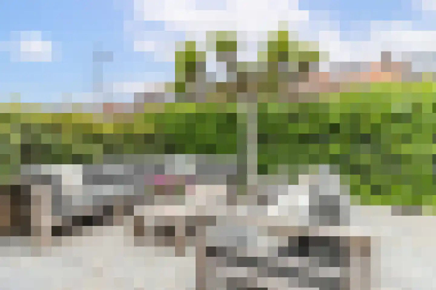 Essesteijnstraat 150 Voorburg thumbnail 48