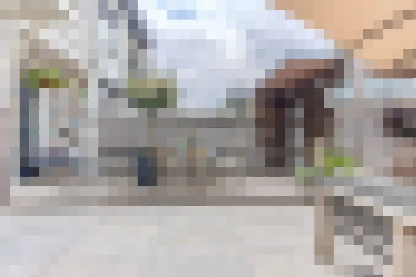 Essesteijnstraat 150 Voorburg thumbnail 51