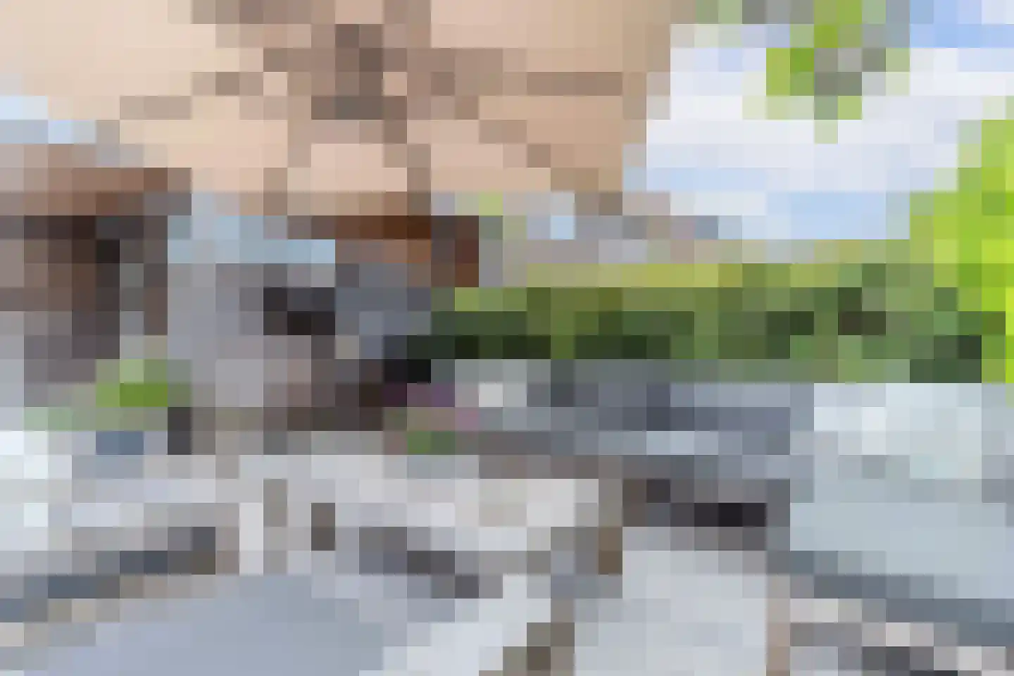 Essesteijnstraat 150 Voorburg thumbnail 54