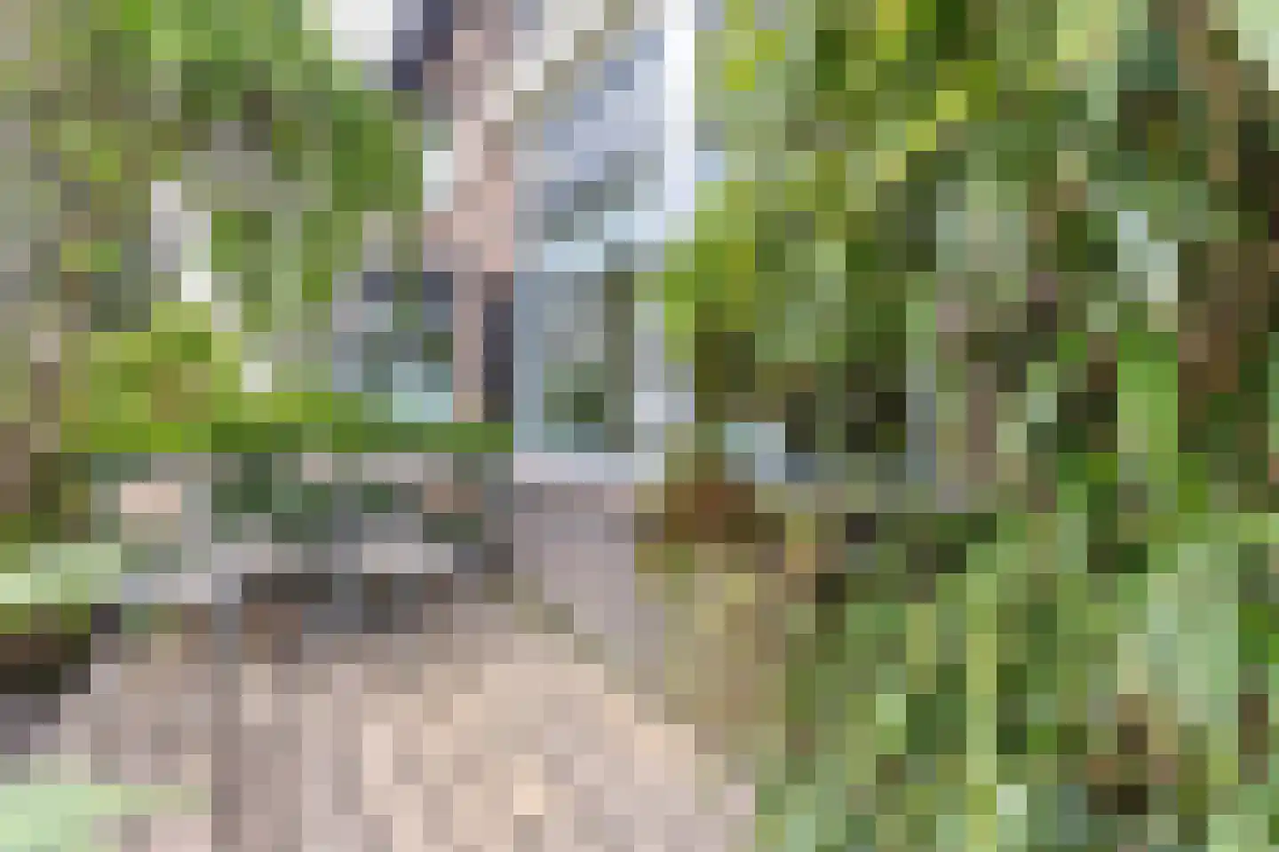Essesteijnstraat 150 Voorburg thumbnail 56