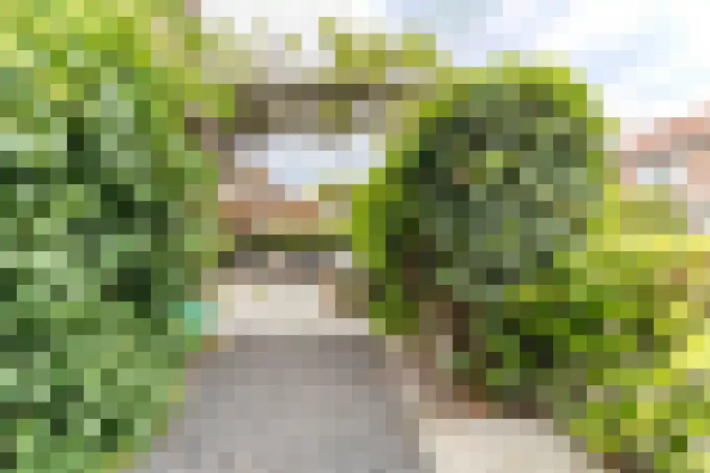 Essesteijnstraat 150 Voorburg thumbnail 59
