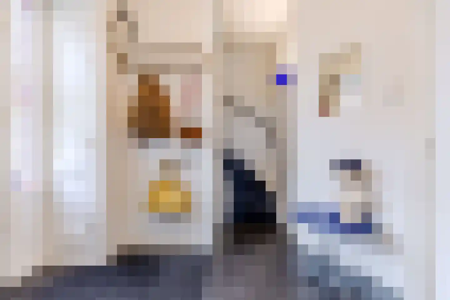 Essesteijnstraat 150 Voorburg thumbnail 6