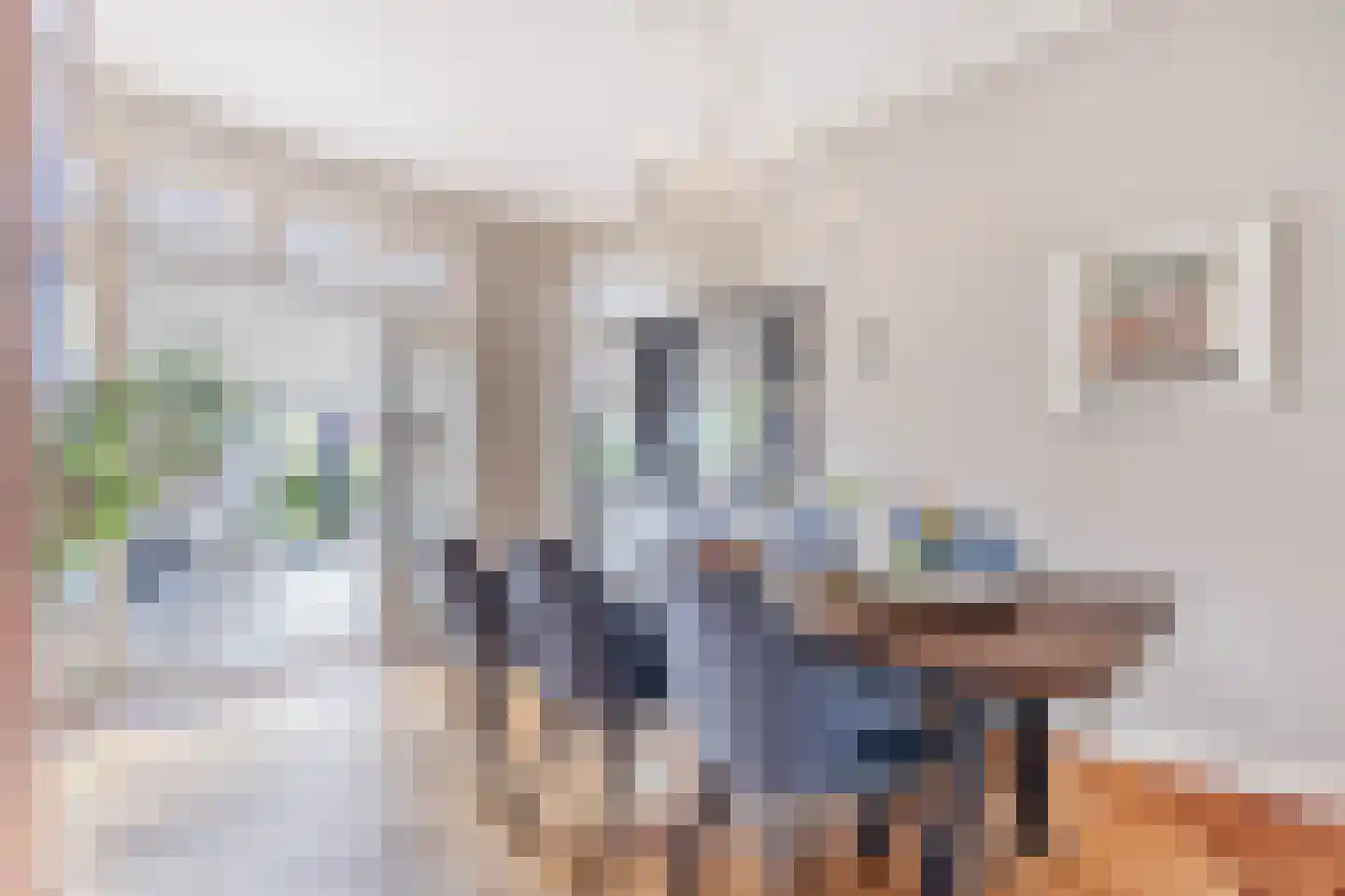 Essesteijnstraat 150 Voorburg thumbnail 8