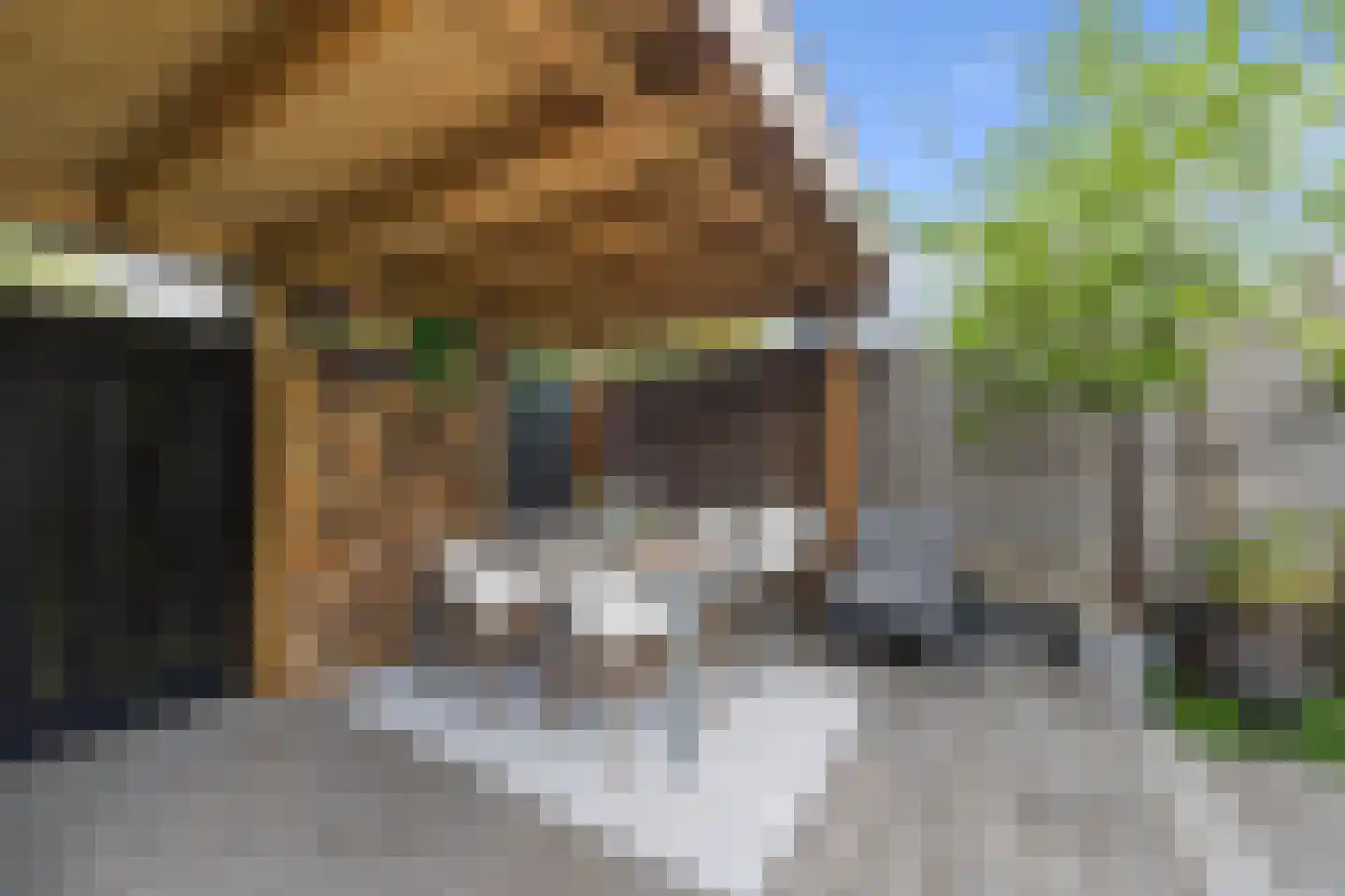 Essesteijnstraat 159 Voorburg thumbnail 20