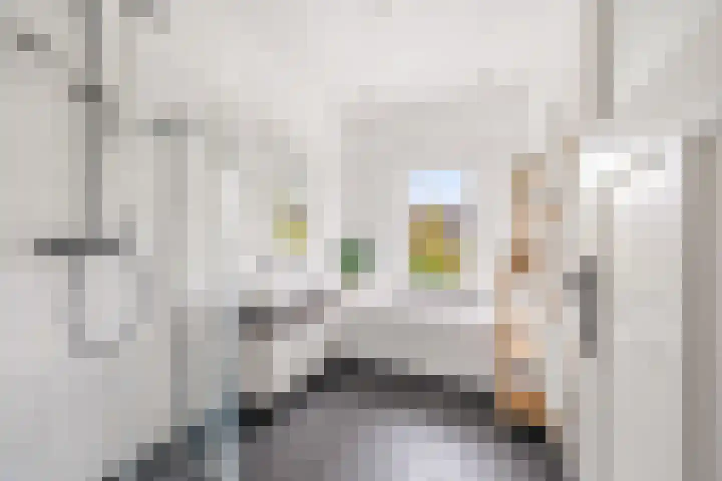 Essesteijnstraat 159 Voorburg thumbnail 30