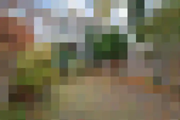 Essesteijnstraat 173 Voorburg thumbnail 32