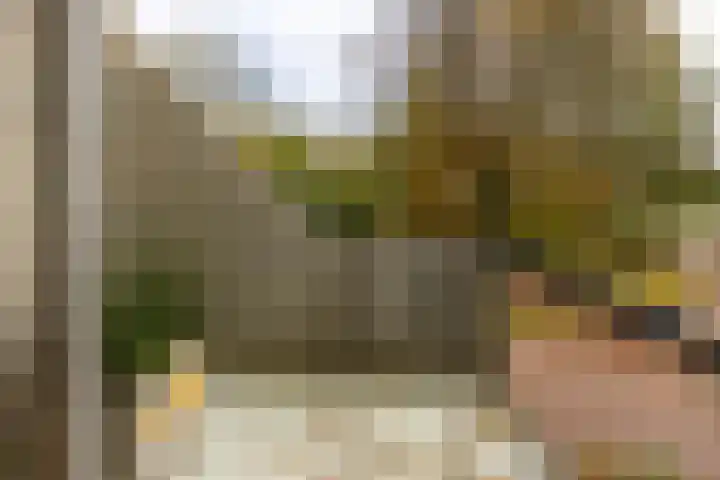 Essex 1 Leusden thumbnail 18