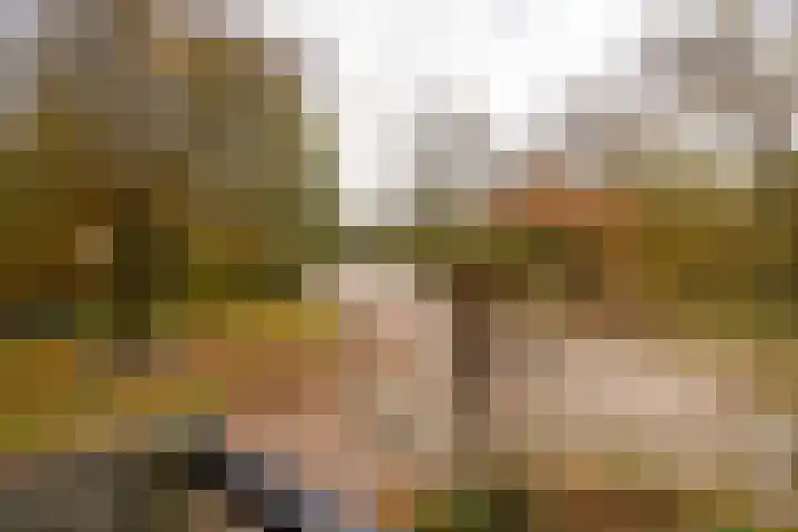 Essex 1 Leusden thumbnail 19