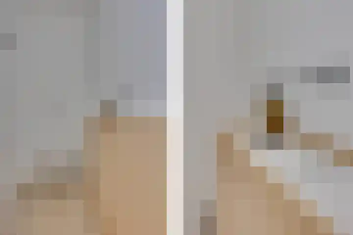 Essex 1 Leusden thumbnail 24
