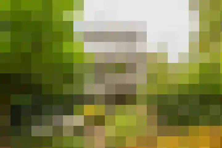 Essex 1 Leusden thumbnail 28