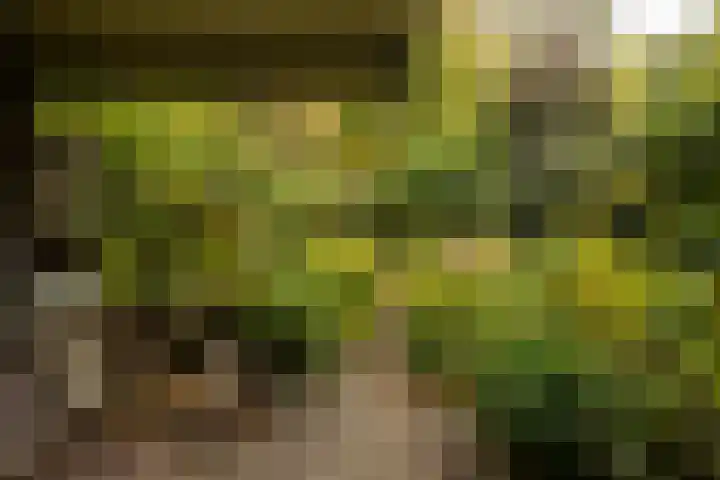 Essex 1 Leusden thumbnail 29
