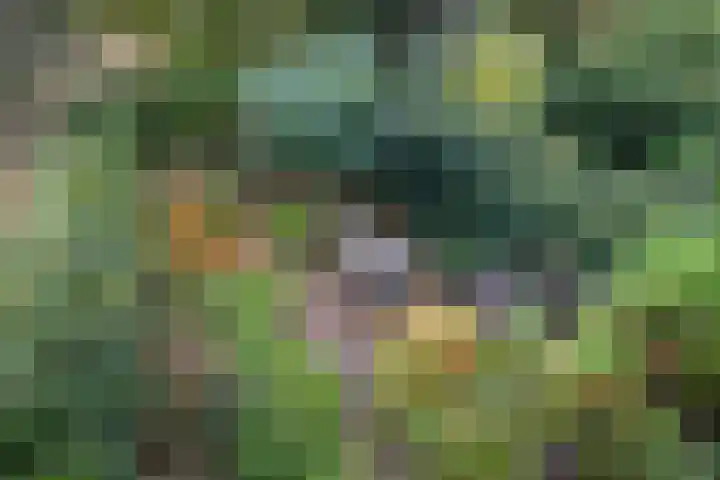 Essex 1 Leusden thumbnail 30
