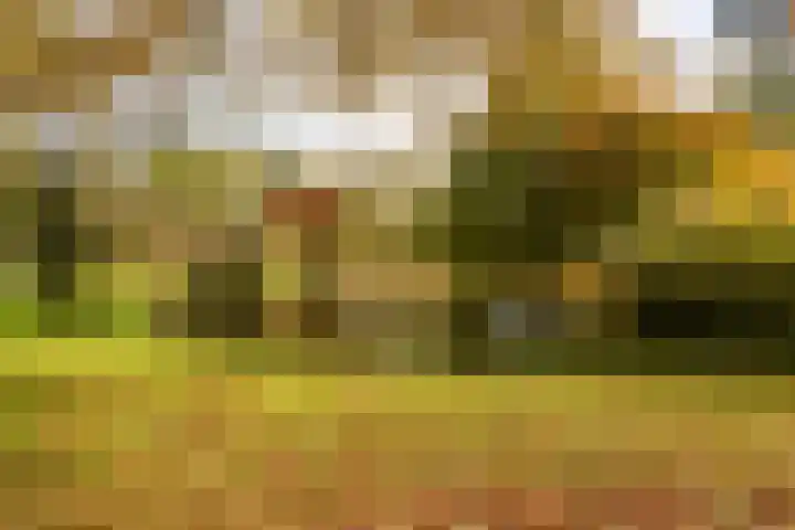Essex 1 Leusden thumbnail 31