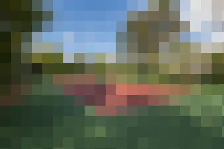 Essex 1 Leusden thumbnail 32