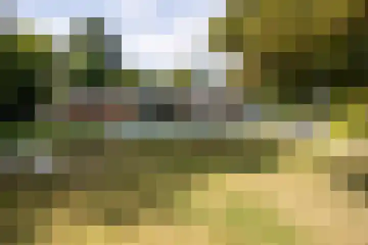 Essex 1 Leusden thumbnail 33