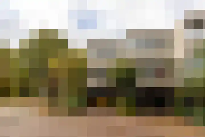 Essex 1 Leusden thumbnail 34