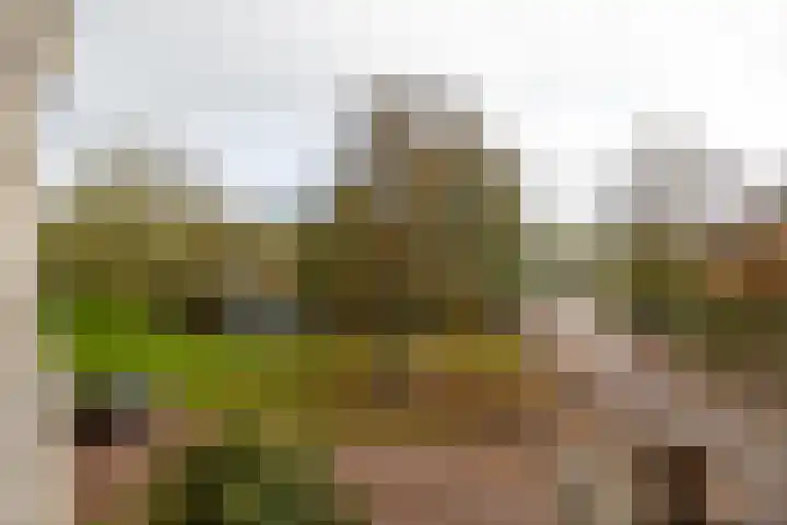 Essex 1 Leusden thumbnail 36