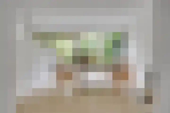Essex 1 Leusden thumbnail 4