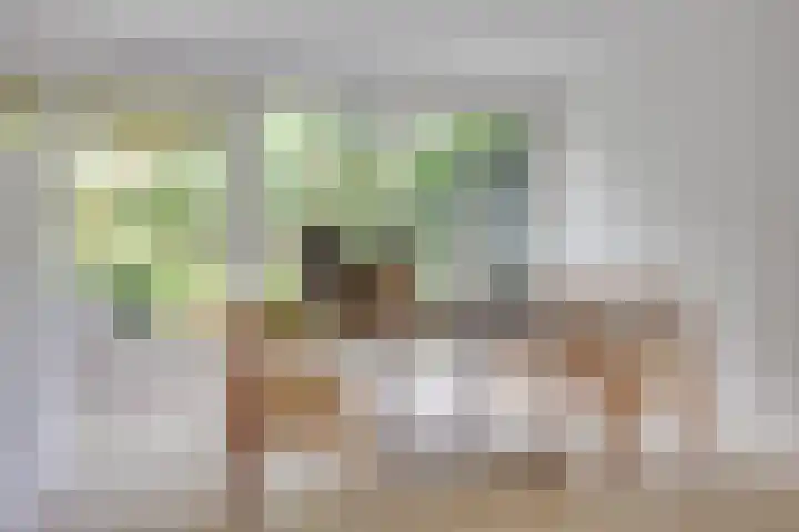 Essex 1 Leusden thumbnail 5