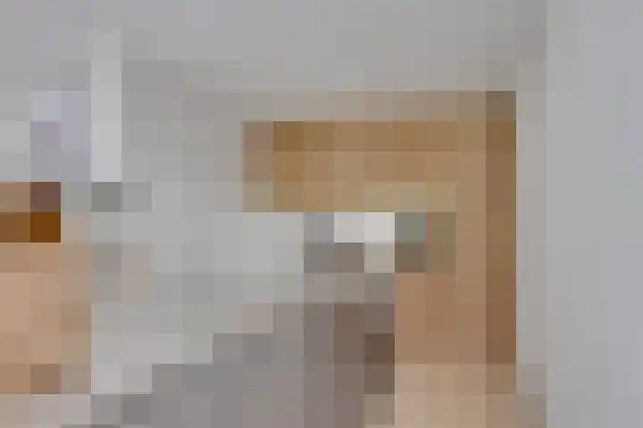 Essex 1 Leusden thumbnail 7