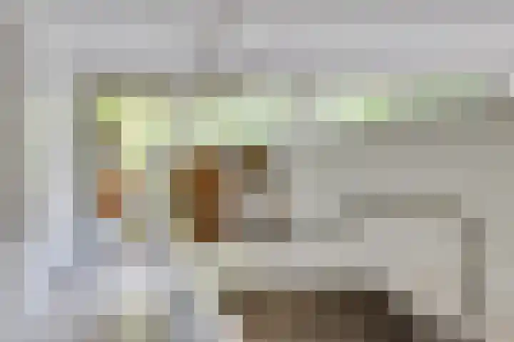 Essex 1 Leusden thumbnail 8