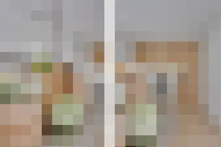 Essex 1 Leusden thumbnail 9
