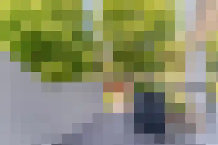 Essex 19 Leusden thumbnail 15