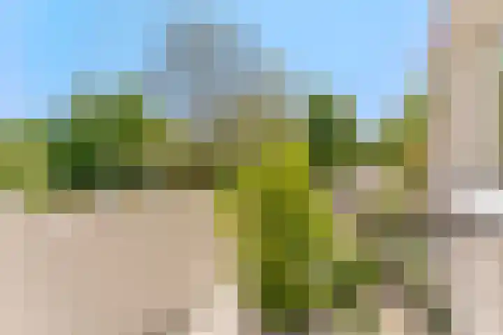 Essex 19 Leusden thumbnail 26