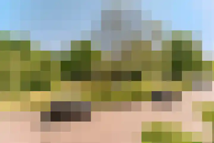 Essex 19 Leusden thumbnail 27