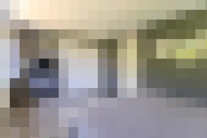Essex 19 Leusden thumbnail 32