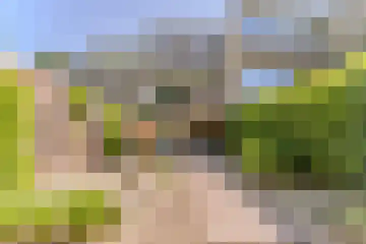 Essex 19 Leusden thumbnail 35