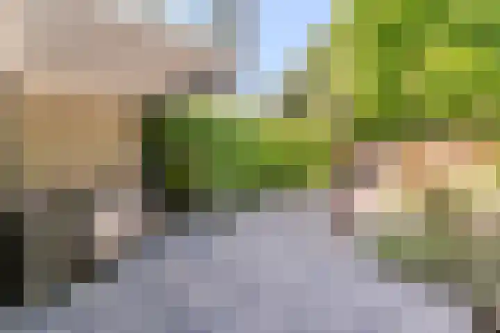 Essex 19 Leusden thumbnail 37