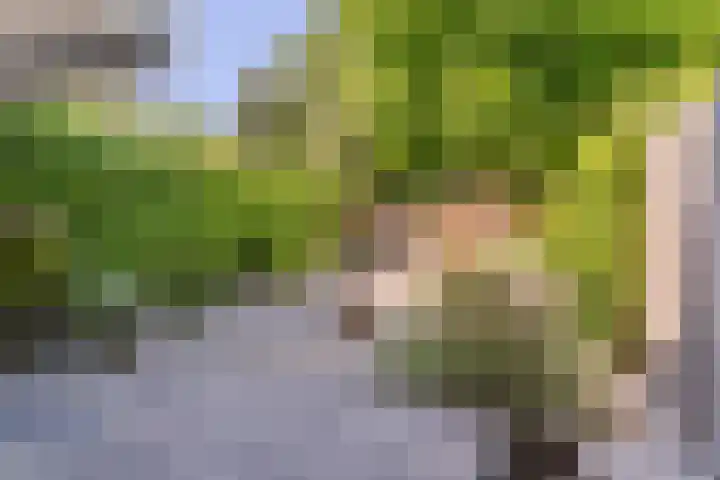 Essex 19 Leusden thumbnail 38