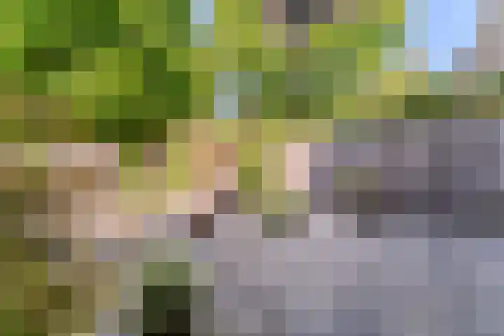 Essex 19 Leusden thumbnail 39