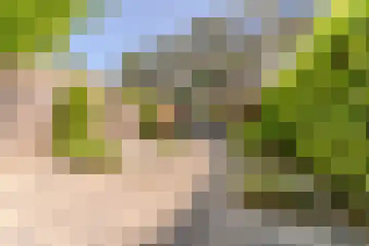 Essex 19 Leusden thumbnail 40